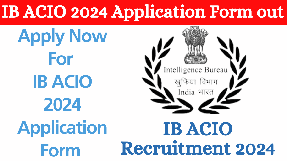 IB ACIO 2024 Application Form Apply now